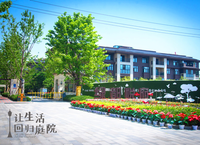 前后观望南阳50年：这样的庭院，很难再有了！