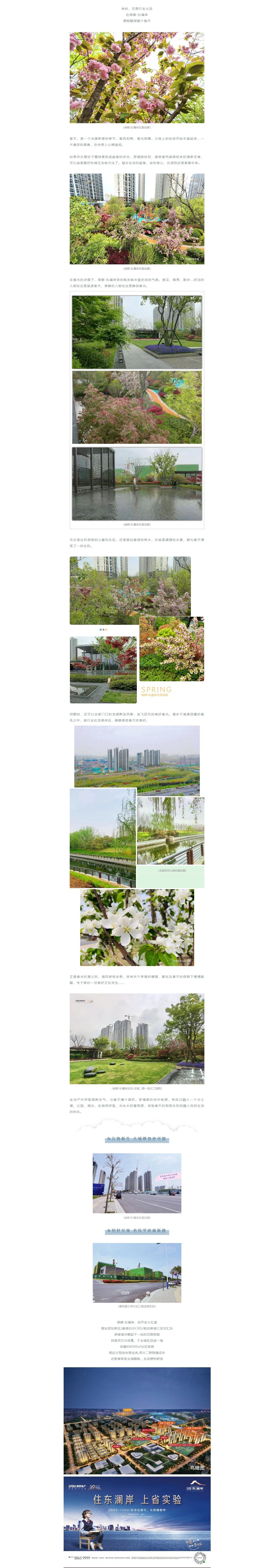 赏花踏青，来一场和春天的约会